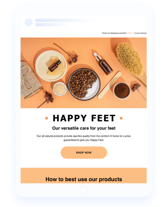 ecommerce newsletter email blast